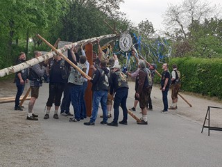 Maibaum-2019_57