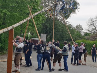 Maibaum-2019_58