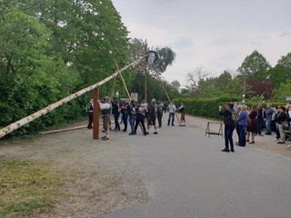 Maibaum-2019_59