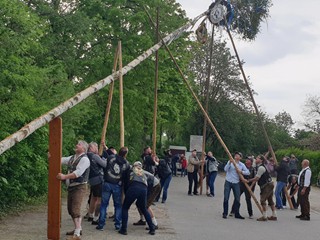 Maibaum-2019_60