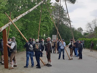 Maibaum-2019_61