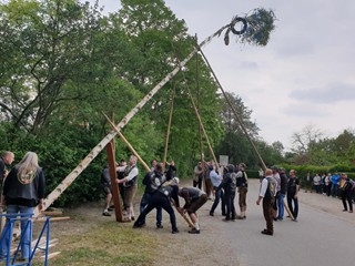 Maibaum-2019_63