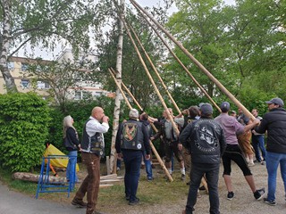 Maibaum-2019_65