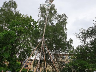 Maibaum-2019_66