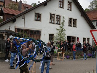 MRR-Maibaum-2022_11