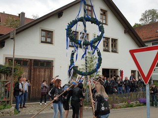 MRR-Maibaum-2022_20