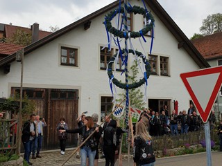 MRR-Maibaum-2022_21