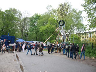 Maibaum-2022_112