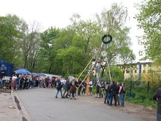 Maibaum-2022_113