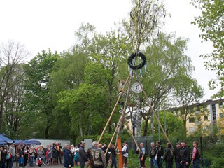 Maibaum-2022_114