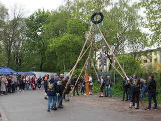 Maibaum-2022_115