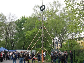 Maibaum-2022_116