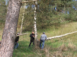 Maibaum-2022_19