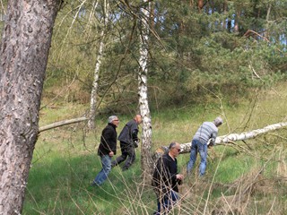 Maibaum-2022_21