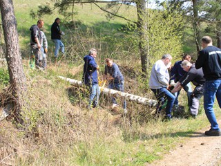 Maibaum-2022_29