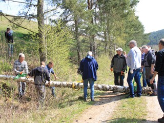 Maibaum-2022_30