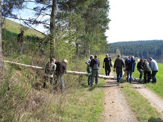 Maibaum-2022_31