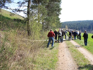 Maibaum-2022_32