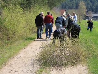 Maibaum-2022_35