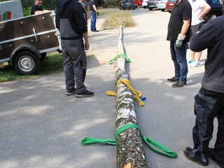 Maibaum-2022_58