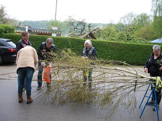 Maibaum-2022_83