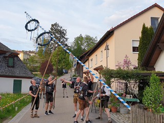 MMR-Maibaum-2023_12