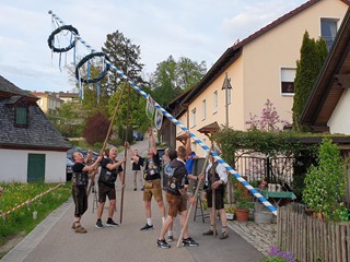 MMR-Maibaum-2023_13
