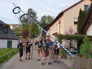 MMR-Maibaum-2023_13