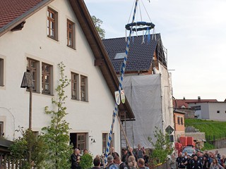 MMR-Maibaum-2023_17