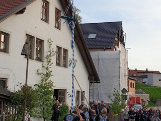 MMR-Maibaum-2023_19