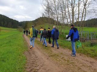 Maibaum-2023_04