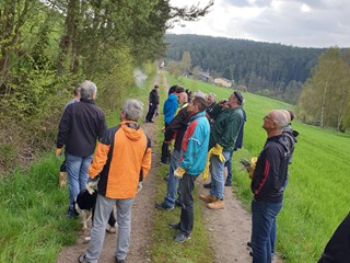 Maibaum-2023_06