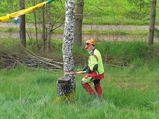 Maibaum-2023_14