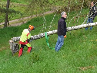 Maibaum-2023_16