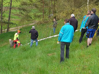 Maibaum-2023_17