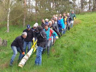 Maibaum-2023_23