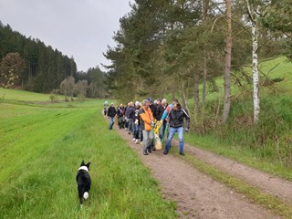 Maibaum-2023_29