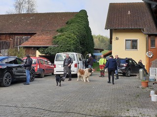 Maibaum-2023_37