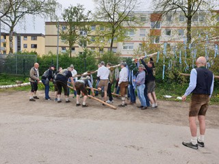 Maibaum-2023_64