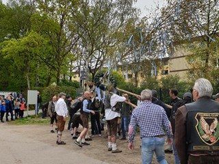 Maibaum-2023_67