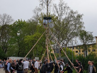 Maibaum-2023_75