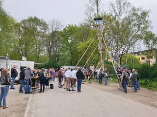 Maibaum-2023_76