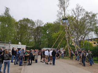 Maibaum-2023_77