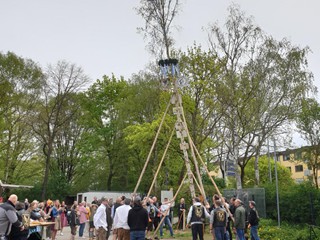 Maibaum-2023_78