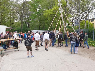 Maibaum-2023_80