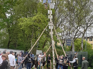 Maibaum-2023_81