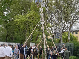 Maibaum-2023_82