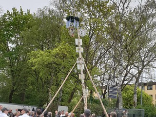 Maibaum-2023_83