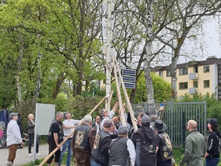 Maibaum-2023_84