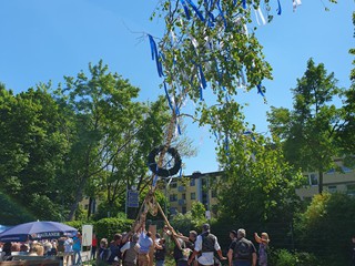 Maibaum-aufstellen-2025_17